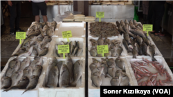 Izmir fish