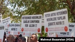 Türkiye genelinde iş bırakma eylemi yapan veteriner hekimler, en önemli sorunlarının şiddet olduğunu söylüyor.