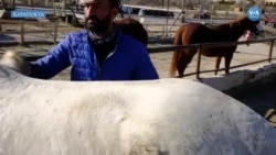 ‘Güzel Atlar Diyarı’ Kapadokya