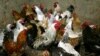 FILE PHOTO: Chickens await vaccination against bird flu at the settlement Peredovoi near Stavropol