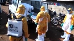 'Ebola Ekonomik Krize Yolaçabilir'