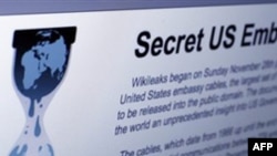 WikiLeaks Destekçileri Misillemede Bulunuyor