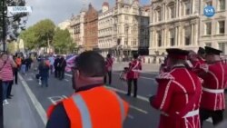 İngiltere'de Brexit'e Karşı Bandolu Protesto