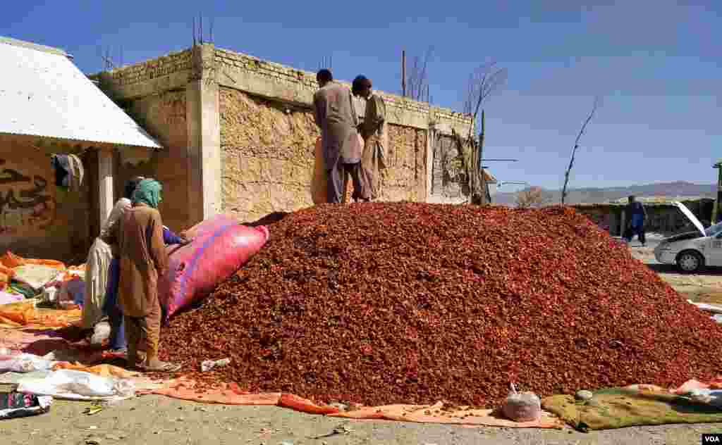 کاشت کار ٹماٹروں کی اضافی پیدوار کو، جو منڈیوں تک پہنچ نہیں پاتی، خشک کر کے اپنی آمدنی میں اضافہ کر رہے ہیں۔